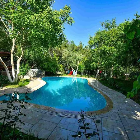 5 Star With 2 Bedrooms, 1028 Villa *